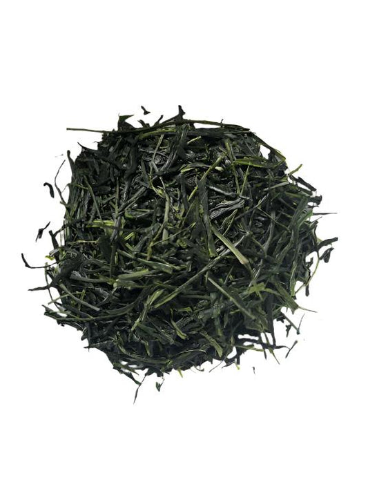 Gyokuro Kirari 31 - Hoshino Dentou Hon Gyokuro